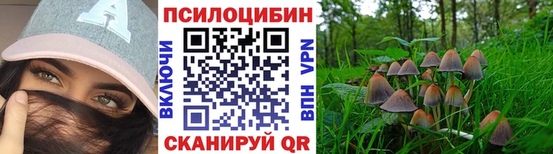 blacksprut вход дарнет шоп Архангельск Псилоцибиновые грибы Psilocybine cubensis