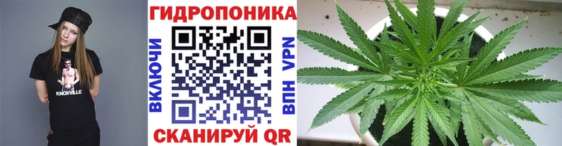 Конопля White Widow  цена наркотик  Архангельск 